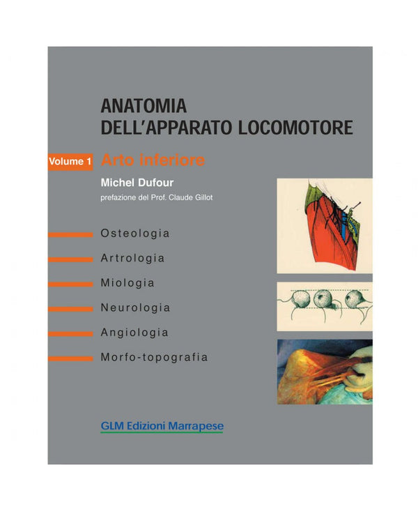 Anatomia dell’apparato locomotore (Vol. 1) - Arto inferiore - Michel Dufour