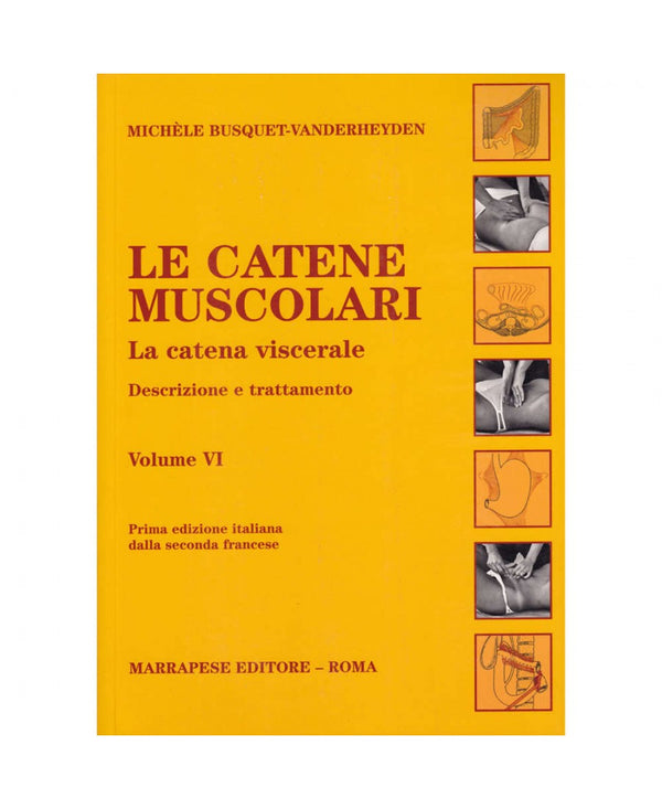 Le catene muscolari (Vol. VI ) - La catena viscerale - Descrizione e trattamento