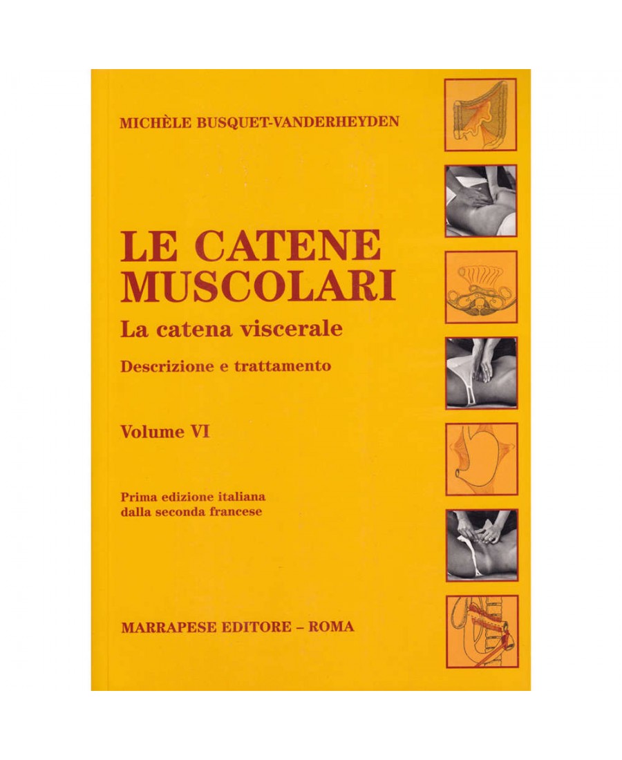 Le catene muscolari (Vol. VI ) - La catena viscerale - Descrizione e trattamento